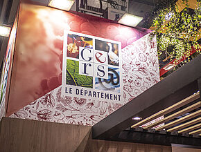 Agrandir l'image (fenêtre modale)