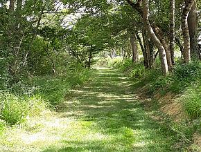 Tronçon Flaran - Graziac - Agrandir l'image (fenêtre modale)
