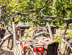 Agrandir l'image (fenêtre modale)