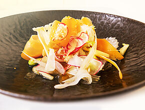 Agrandir l'image (fenêtre modale)