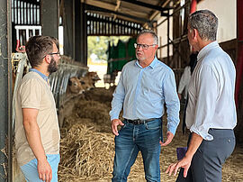 Agrandir l'image (fenêtre modale)