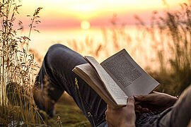 Festival Dire et Lire à l'Air - Agrandir l'image (fenêtre modale)